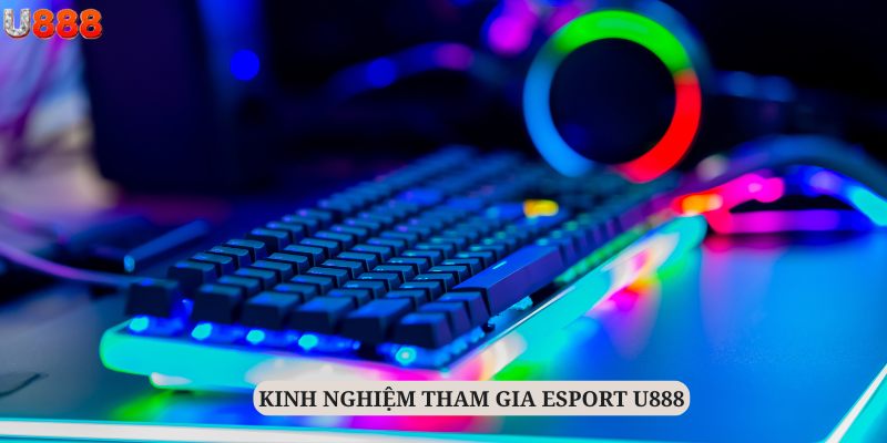 Hội viên đừng bỏ qua những kinh nghiệm đáng giá từ người đi trước