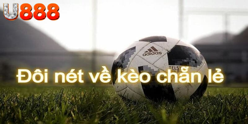 Hội viên lựa chọn nhiều hình thức đặt cược tại nhà cái